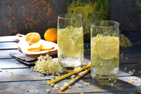 Kwiaty czarnego bzu - syrop, lemoniada i bezpieczne stosowanie